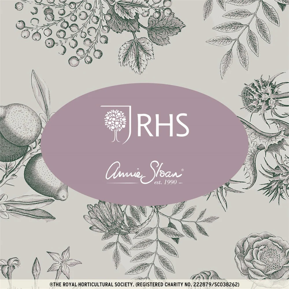 Botanical Drawings