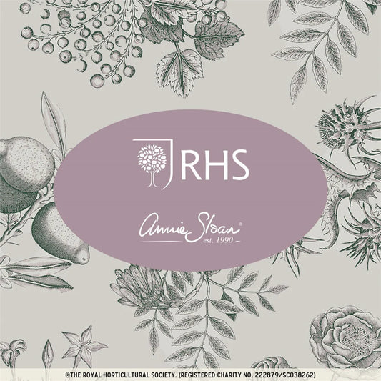 Botanical Drawings