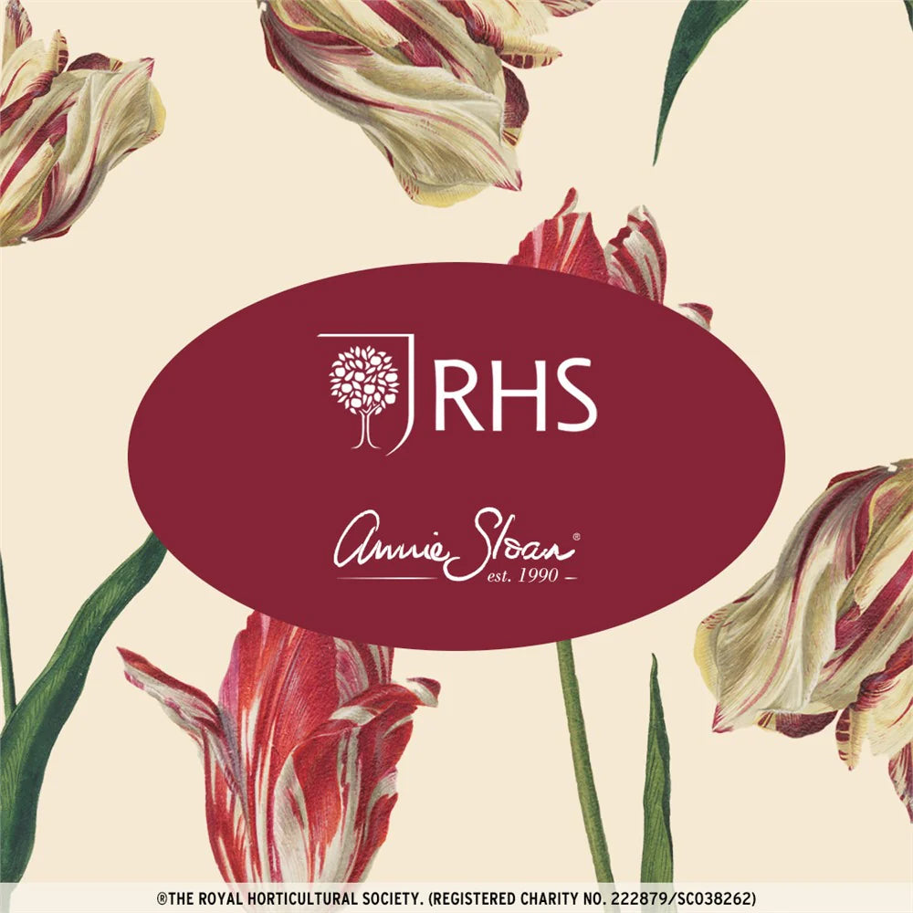 Dutch Tulips