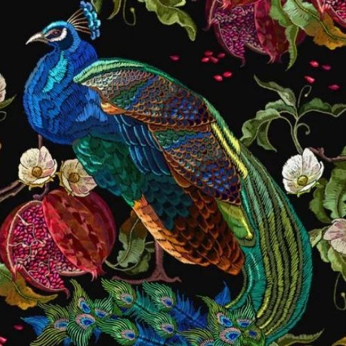Peacock