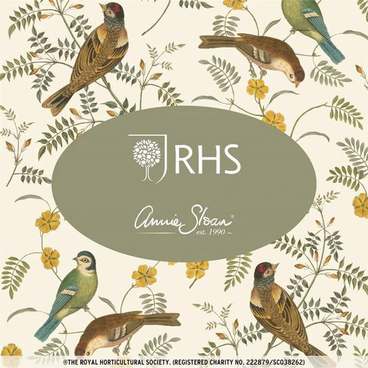 Songbirds
