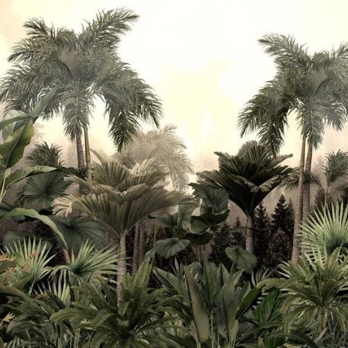 The Tropics