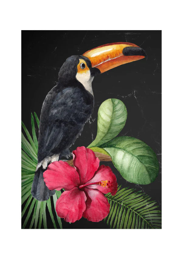Tucan
