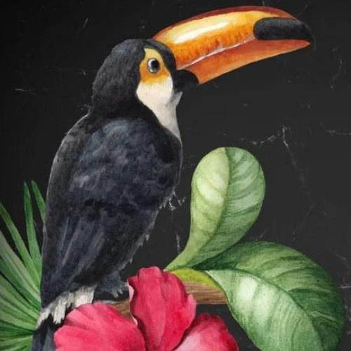Tucan