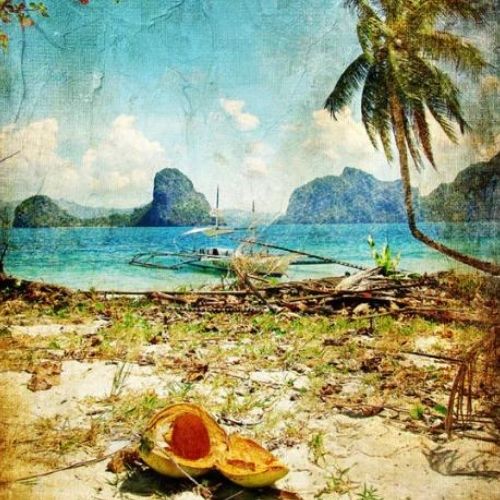 Tropical Beach
