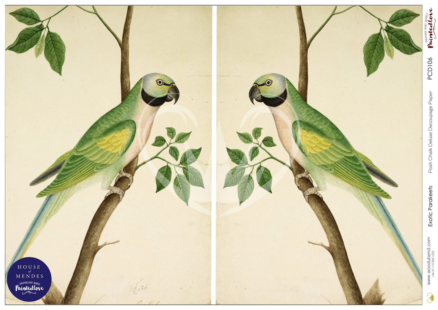 Exotic Parakeets